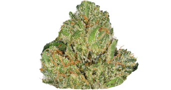 Pearl Pharma - Pearl OG - 3.5g