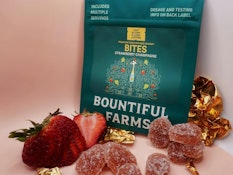 Strawberry Champagne Bites - 100mg - Bountiful Farms