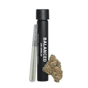 Balanced - Zerbacio Pre-Roll 1.0g Single