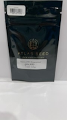 Gelato 5pk Seeds - Atlas Seeds