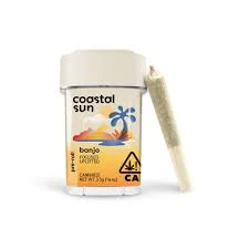 Coastal Sun - 10pk - Banjo -0.35g (S) - Coastal Sun Main Image