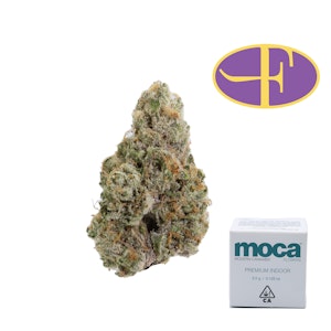 Moca - Tuscan Gelato