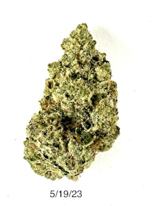 PROHIBITION 37 - P37 - Banana Dulce