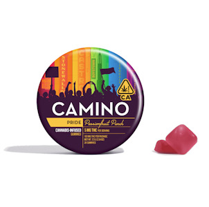 Kiva Confections - Kiva - Camino - Sativa - Passionfruit Punch "Pride" - 20pk - Gummies - (100mg THC)