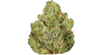 LAX Packs - Tahoe OG Mediums - 7g
