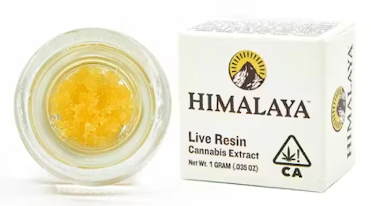 Orange Elixir Terp Sauce 1G