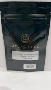 Atlas Seeds - Froot By The Foot 5pk Seeds - Atlas Seeds