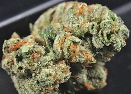 PROPER CANNABIS - PROPER - GHOST OG 3.5 GRAMS