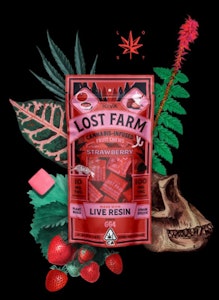 Kiva - Kiva Lost Farm Live Resin Chews 100mg Strawberry - GG4