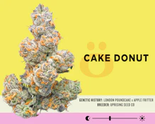 Skord | Cake Donut | DOH | 3.5g