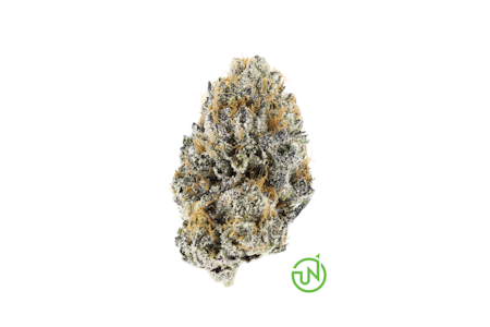 UpNorth - Chocolate Malawi - 3.5g (S) - Upnorth