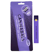 Blueberry Dream - 1g AIO Vape