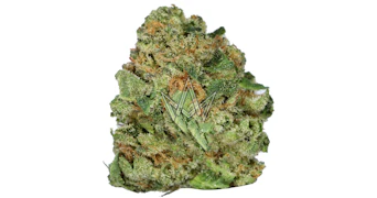 Dime Bag - Gelato 33 - 3.5g