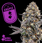 Flower | Buds | Garden Greens | Grapez | 3.5g