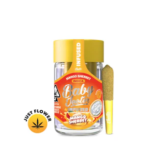 JEETER - Jeeter - Mango Sherbet - 5pk 0.5g Infused Pre-Rolls