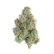 Dirty Taxi - 3.5g - Happy Valley