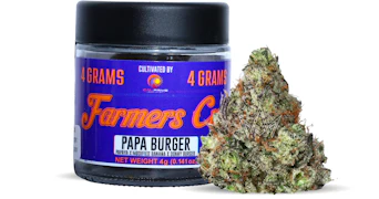 Farmer's Cup - Papa Burger - 4g