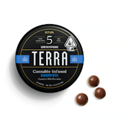 Milk Blueberry Terra Bites - 100mg