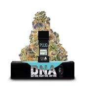 Plug N Play - DNA - Hybrid - Animal Mintz - (1g)