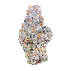 Connected - Gelato 41 3.5g Jar - Connected 