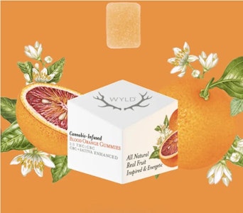 WYLD - WYLD Sour Tangerine Hybrid Gummies 100mg