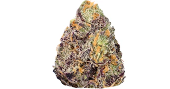 Decibel Gardens - Cosmic Banana - 3.5g