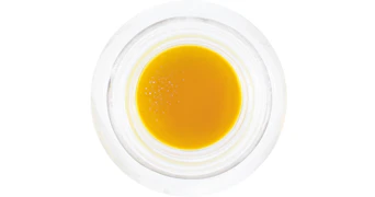 Humboldt Terp Council - World War Z Live Resin - 1g