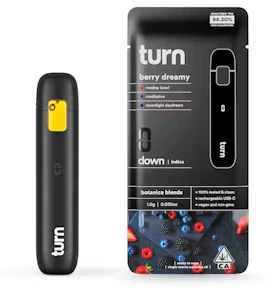 Berry Dreamy AIO - 1 Grams