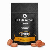 FloraCal | Live Rosin Gummies (10ct) | Tropical Punch | 100mg