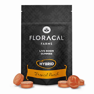 FloraCal - FloraCal | Live Rosin Gummies (10ct) | Tropical Punch | 100mg