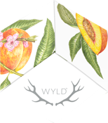 WYLD Peach Hybrid Gummies 2:1 50mgTHC/100mgCBD