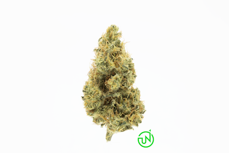 UpNorth - Dutch Treat - 3.5g (H) - UpNorth