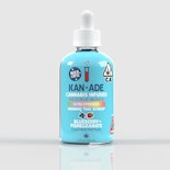 Kan-Ade: Blueberry Pomegranate 1000MG Tincture
