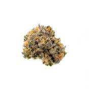ELEVATE - SAFETY MEETING 3.5 GRAMS