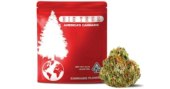 Big Tree - Lunch Lady - 3.5g