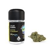 Lilac Diesel [3.5 g]