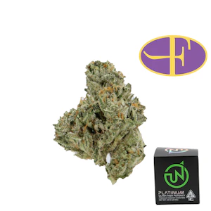 UpNorth - Hindu Kush