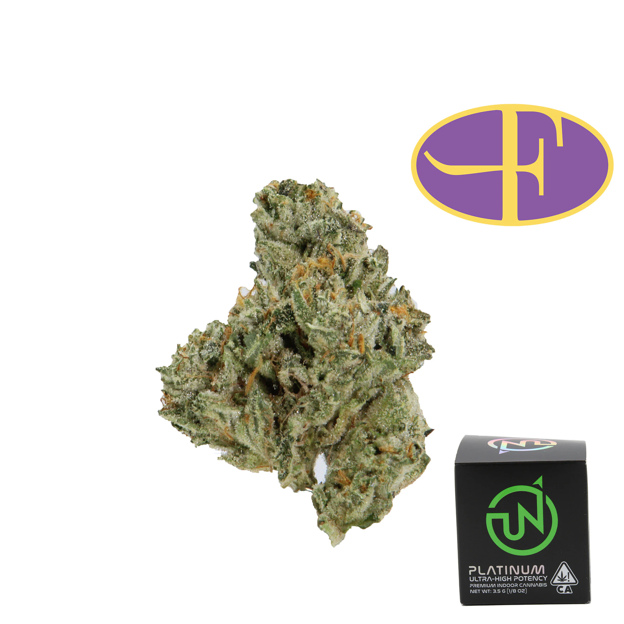 UpNorth - Hindu Kush Main Image