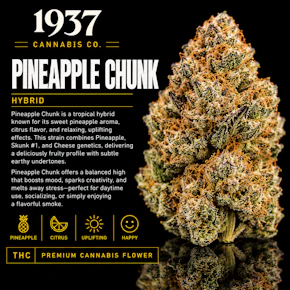1937 | 3.5g Mylar | Pineapple Chunk