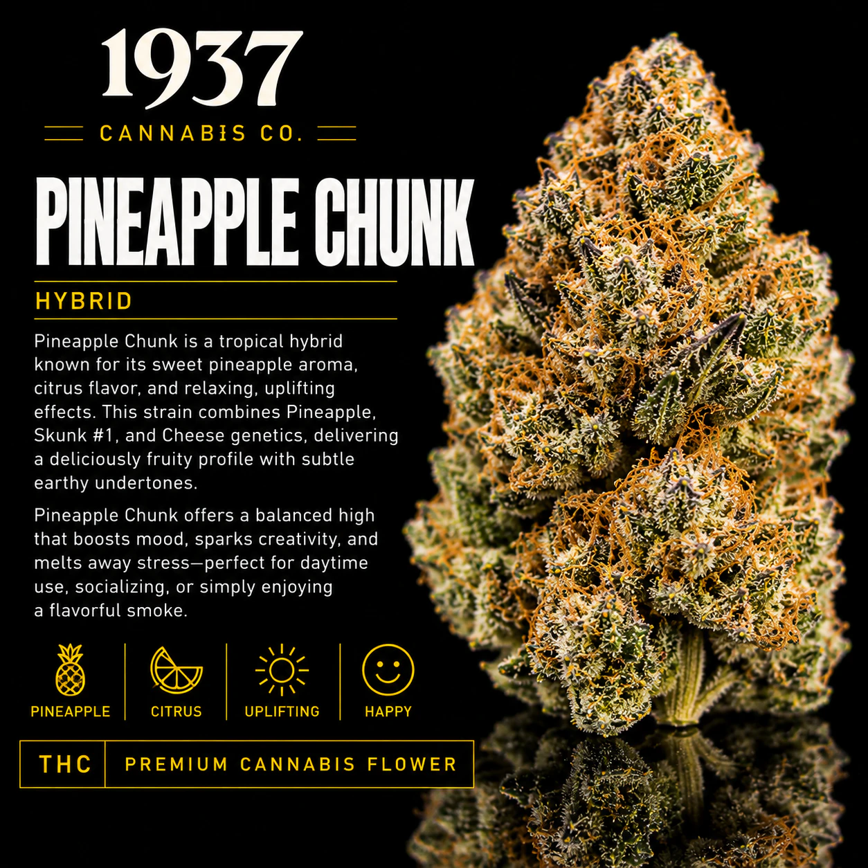1937 - 1937 | 3.5g Mylar | Pineapple Chunk Main Image