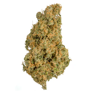 Gold Seal - Red Congolese - 3.5g (S) - Gold Seal