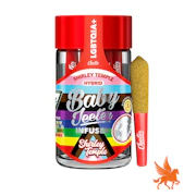 JEETER | 5PK INFUSED PREROLL | SHIRLEY