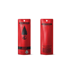 BIG TREE - Pre Game | 1g Pre Roll (S)