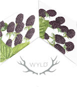 Wyld-Marionberry THC 100mg-Indica Enhanced