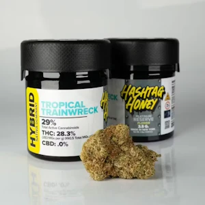 Hashtag Honey - Hashtag Honey - Tropical Trainwreck - 3.5g - Flower