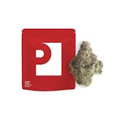 PREFERRED GARDENS | Orange Crush | 3.5G