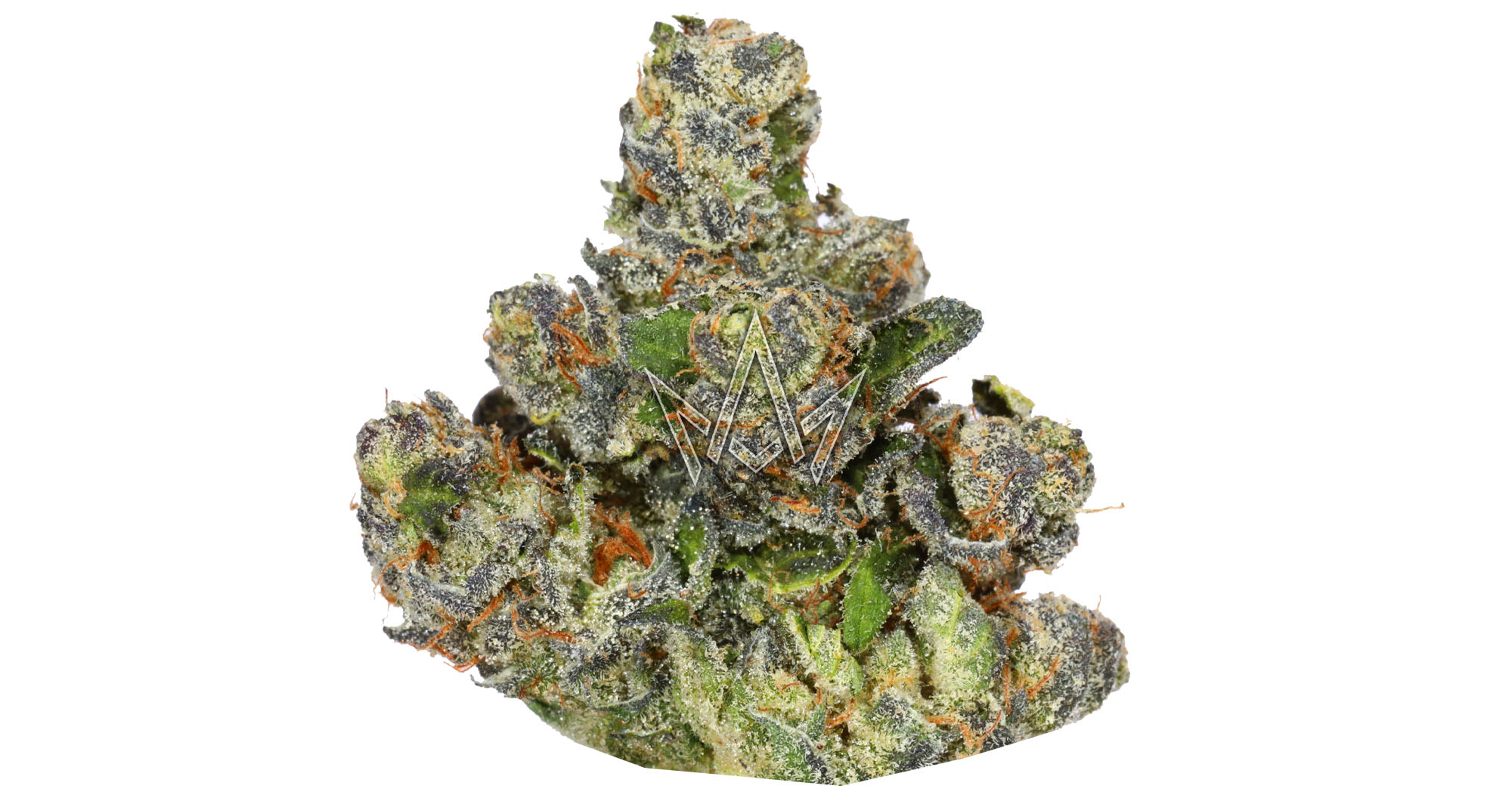 Fig Farms: Moonana Wreck