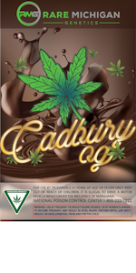 RARE MICHIGAN GENETICS - Rare Michigan - Cadbury OG 1G PR
