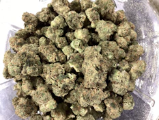 Truforia - Cadillac Rainbow (H)