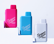 CAKE - Pod - AIO - Kiwi Burst - (I) 1.25g